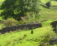 Yorkshire Dales National Park Camping